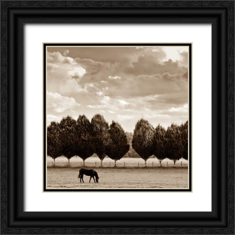 Grazing Black Ornate Wood Framed Art Print with Double Matting by Ross, Heather