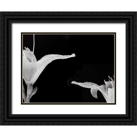 Lilies II Black Ornate Wood Framed Art Print with Double Matting by Christensen, Jim