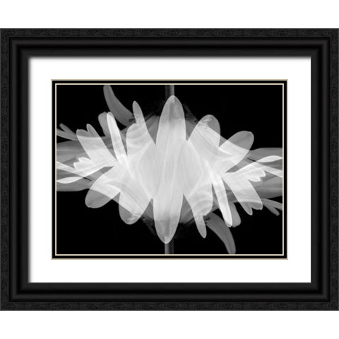 Superimposition Black Ornate Wood Framed Art Print with Double Matting by Christensen, Jim