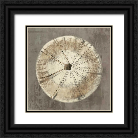 Sand Dollar I Black Ornate Wood Framed Art Print with Double Matting by Wilson, Aimee