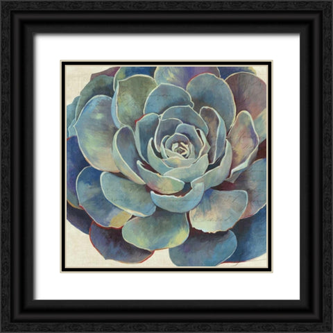 Succulence I - Mini Black Ornate Wood Framed Art Print with Double Matting by Wilson, Aimee