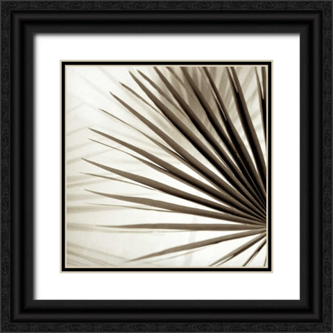 Florison - 66 Black Ornate Wood Framed Art Print with Double Matting by Blaustein, Alan