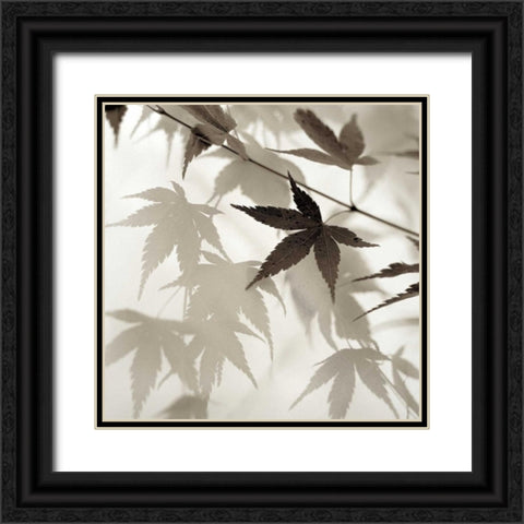 Florison - 62 Black Ornate Wood Framed Art Print with Double Matting by Blaustein, Alan