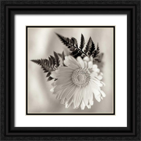 Florison - 60 Black Ornate Wood Framed Art Print with Double Matting by Blaustein, Alan