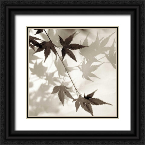 Florison - 63 Black Ornate Wood Framed Art Print with Double Matting by Blaustein, Alan