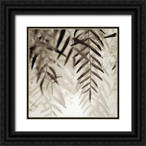 Florison - 56 Black Ornate Wood Framed Art Print with Double Matting by Blaustein, Alan