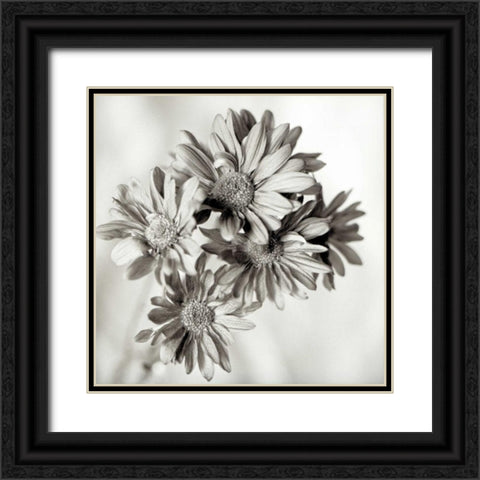 Florison - 40 Black Ornate Wood Framed Art Print with Double Matting by Blaustein, Alan
