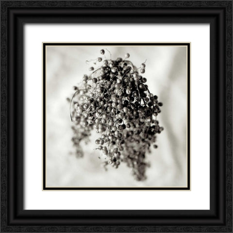 Florison - 38 Black Ornate Wood Framed Art Print with Double Matting by Blaustein, Alan