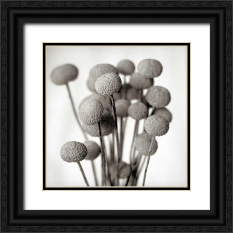 Florison - 33 Black Ornate Wood Framed Art Print with Double Matting by Blaustein, Alan