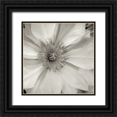 Florison - 32 Black Ornate Wood Framed Art Print with Double Matting by Blaustein, Alan