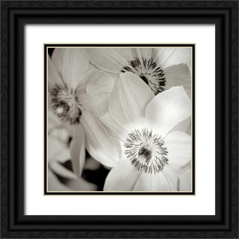 Florison - 31 Black Ornate Wood Framed Art Print with Double Matting by Blaustein, Alan