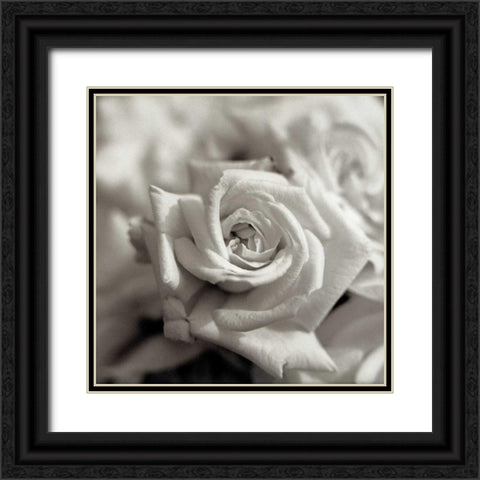 Florison - 30 Black Ornate Wood Framed Art Print with Double Matting by Blaustein, Alan