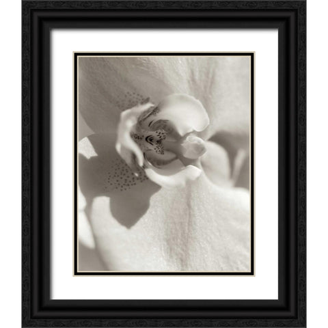 Florison - 8 Black Ornate Wood Framed Art Print with Double Matting by Blaustein, Alan