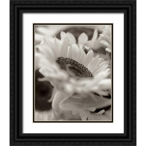 Florison - 3 Black Ornate Wood Framed Art Print with Double Matting by Blaustein, Alan