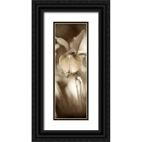 Florison - 73 Black Ornate Wood Framed Art Print with Double Matting by Blaustein, Alan