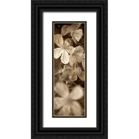 Florison - 69 Black Ornate Wood Framed Art Print with Double Matting by Blaustein, Alan