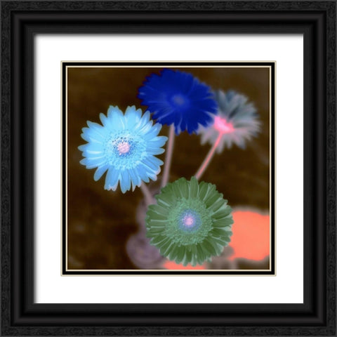 Floral Color - 4 Black Ornate Wood Framed Art Print with Double Matting by Blaustein, Alan