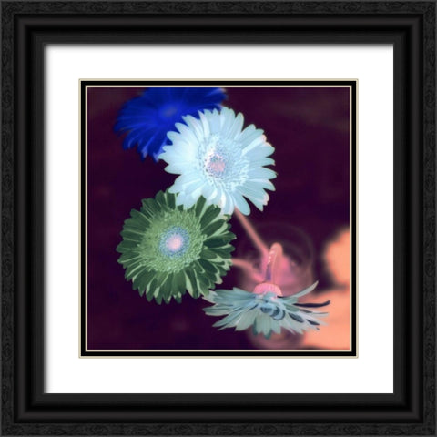 Floral Color - 5 Black Ornate Wood Framed Art Print with Double Matting by Blaustein, Alan