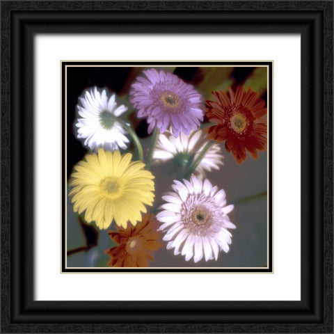 Floral Color - 6 Black Ornate Wood Framed Art Print with Double Matting by Blaustein, Alan