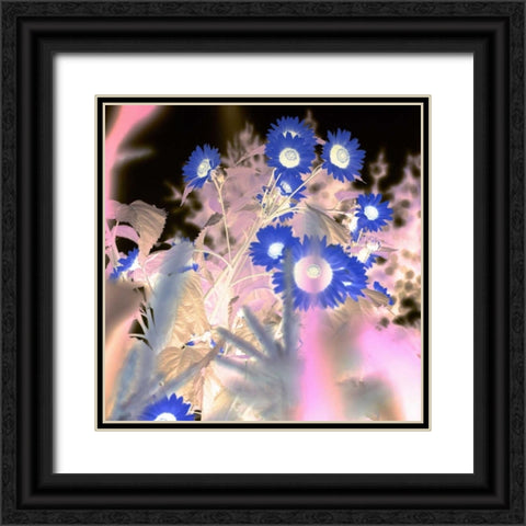 Floral Color - 8 Black Ornate Wood Framed Art Print with Double Matting by Blaustein, Alan