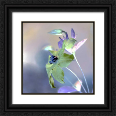 Floral Color - 9 Black Ornate Wood Framed Art Print with Double Matting by Blaustein, Alan