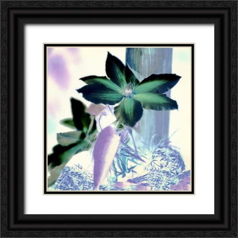 Floral Color - 10 Black Ornate Wood Framed Art Print with Double Matting by Blaustein, Alan