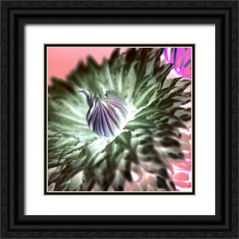 Floral Color - 11 Black Ornate Wood Framed Art Print with Double Matting by Blaustein, Alan