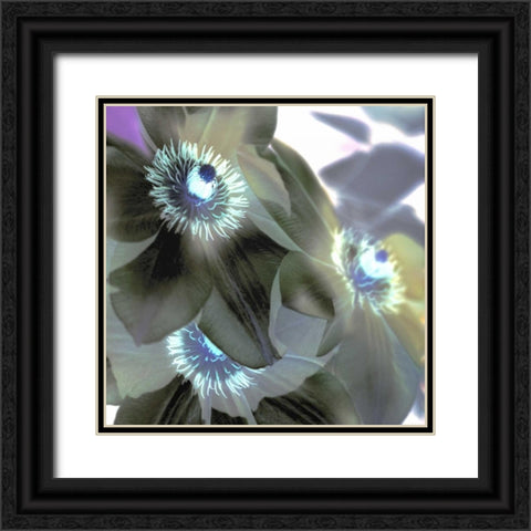 Floral Color - 14 Black Ornate Wood Framed Art Print with Double Matting by Blaustein, Alan