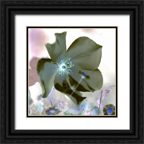 Floral Color - 16 Black Ornate Wood Framed Art Print with Double Matting by Blaustein, Alan