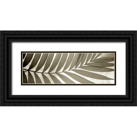 Florison - 98 Black Ornate Wood Framed Art Print with Double Matting by Blaustein, Alan