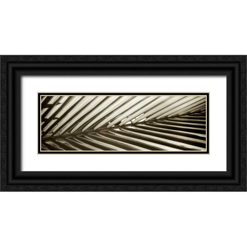 Florison - 100 Black Ornate Wood Framed Art Print with Double Matting by Blaustein, Alan