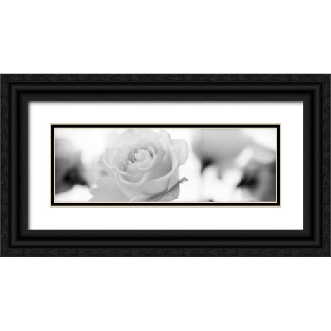 Florison - 102 Black Ornate Wood Framed Art Print with Double Matting by Blaustein, Alan