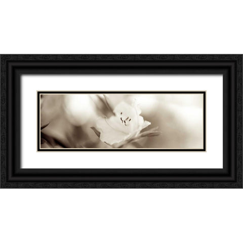 Florison - 104 Black Ornate Wood Framed Art Print with Double Matting by Blaustein, Alan