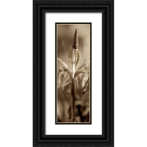 Florison - 74 Black Ornate Wood Framed Art Print with Double Matting by Blaustein, Alan
