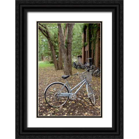 Japan Bicycle - 9 Black Ornate Wood Framed Art Print with Double Matting by Blaustein, Alan