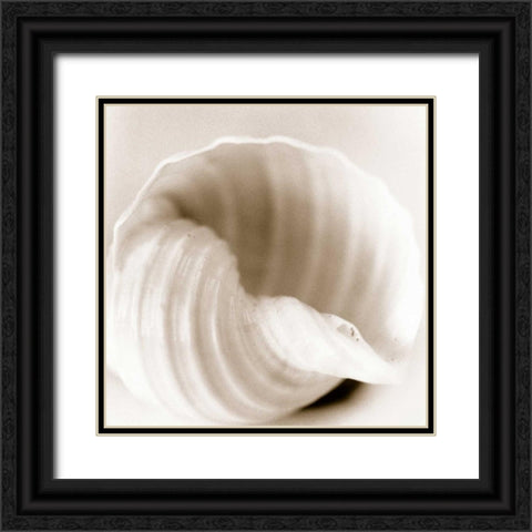 Atlantis 4 Black Ornate Wood Framed Art Print with Double Matting by Blaustein, Alan