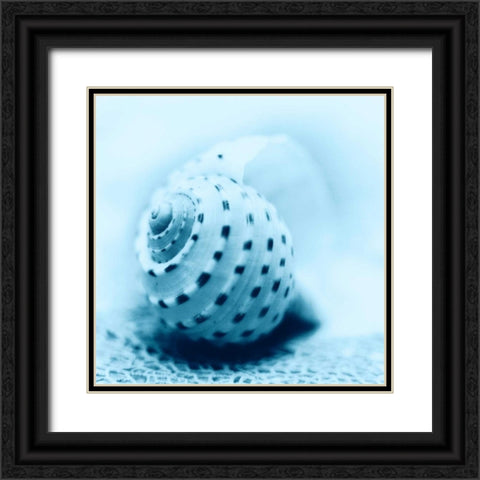 Nautica No3 Black Ornate Wood Framed Art Print with Double Matting by Blaustein, Alan