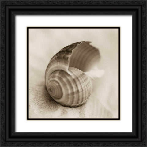 La Playa No3 Black Ornate Wood Framed Art Print with Double Matting by Blaustein, Alan