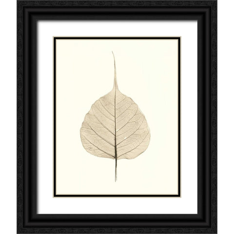 India Ficus Black Ornate Wood Framed Art Print with Double Matting by Blaustein, Alan