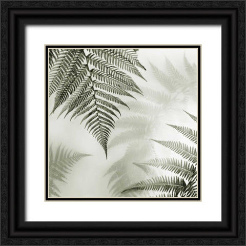 Ferns No. 1 Black Ornate Wood Framed Art Print with Double Matting by Blaustein, Alan