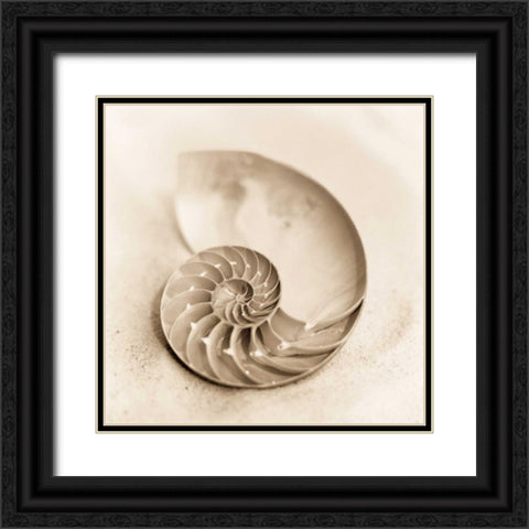Il Oceano No. 4 Black Ornate Wood Framed Art Print with Double Matting by Blaustein, Alan