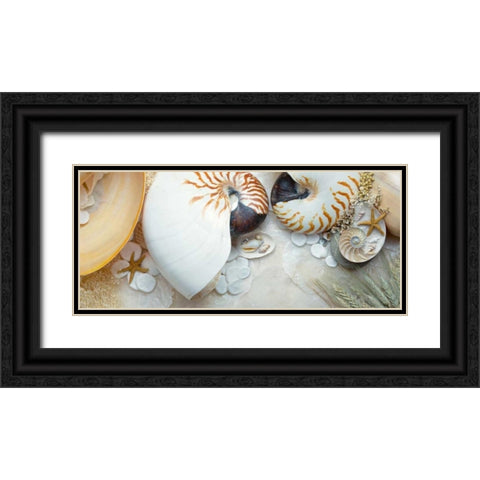 Island Tide Pool No. 8 Black Ornate Wood Framed Art Print with Double Matting by Blaustein, Alan