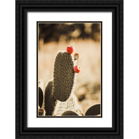 Habana Black Ornate Wood Framed Art Print with Double Matting by Broadway, Krista