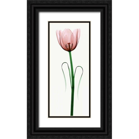 Tulip I Black Ornate Wood Framed Art Print with Double Matting by Coop, Robert