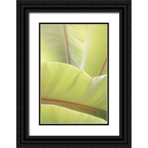 Palm Leaves No. 1 Black Ornate Wood Framed Art Print with Double Matting by Colligan, Lynann