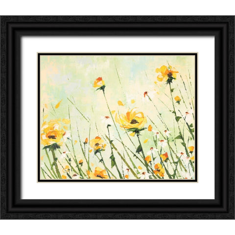 Chrysanthemum and Daisy Field Black Ornate Wood Framed Art Print with Double Matting by Coghlan, Emma