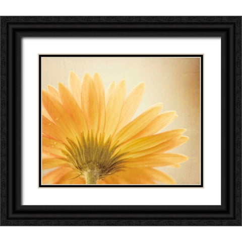 Butterscotch Black Ornate Wood Framed Art Print with Double Matting by Cochrane, Carolyn