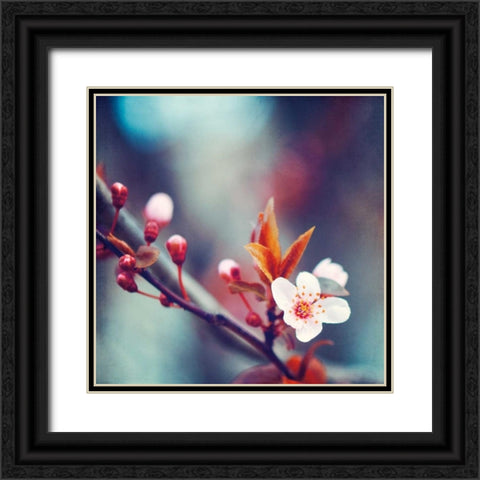 Natures Palette Black Ornate Wood Framed Art Print with Double Matting by Cochrane, Carolyn