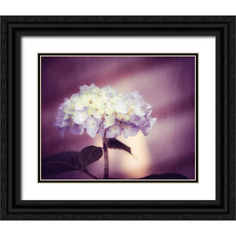 Regal Black Ornate Wood Framed Art Print with Double Matting by Cochrane, Carolyn