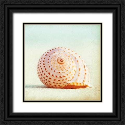 Seashell Voices Black Ornate Wood Framed Art Print with Double Matting by Cochrane, Carolyn